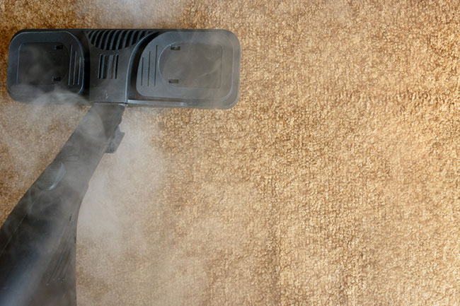 Affordable Commercial Carpet Cleaning | Steam Giant Professional Carpet ...