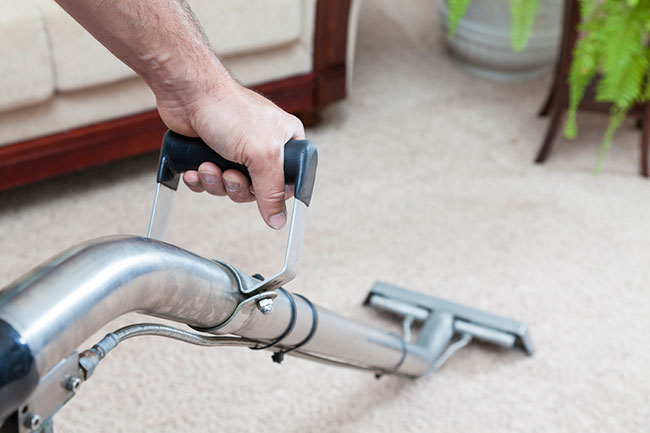 Four Benefits of Professional Carpet Cleaning | Steam Giant ...